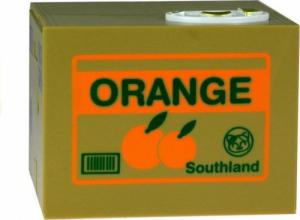 Lean Sport Skarbonka Kot Nauka Oszczędzania Pomarańcza 5