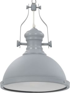 Lampa wisząca Lumes Szara loftowa lampa sufitowa - EX173-Rozi 1