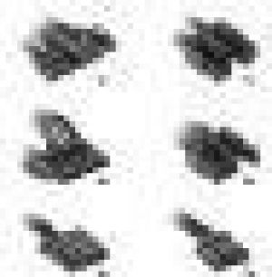 Zasilacz Sharkoon SilentStorm SFX 500W (SFX500) 5