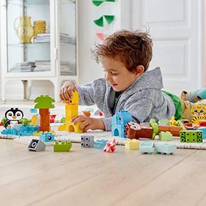 LEGO Duplo Kreatywne zwierzęta (10934) 8