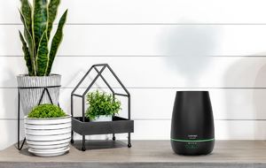 Nawilżacz powietrza Concept ZV1021 Czarny 2