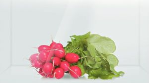 Lodówka Bosch KAG90AI20 5