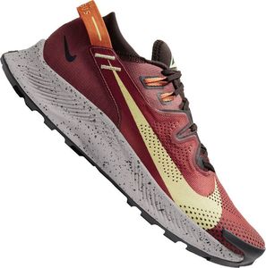 Nike Nike Pegasus Trail 2 600 : Rozmiar - 47.5 1
