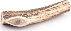 4DOGS GRYZAK XXL (HARD) 4