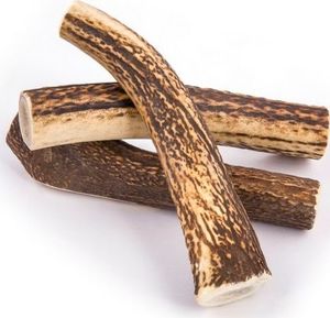 4DOGS GRYZAK XXL (HARD) 5