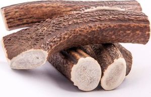 4DOGS GRYZAK XXL (HARD) 6