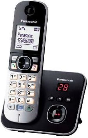 Telefon stacjonarny Panasonic Czarno-srebrny 1