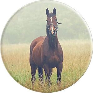 CJ Grips Koń - PopSockets Wysuwana podstawa i uchwyt do smartfonów i tabletów 4
