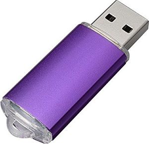 Pendrive Fenglangrong 10 PAKC Pamięć flash USB Pendrive USB 2.0 Pendrive Pendrive fioletowy 1 GB 2