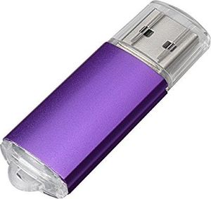 Pendrive Fenglangrong 10 PAKC Pamięć flash USB Pendrive USB 2.0 Pendrive Pendrive fioletowy 1 GB 6