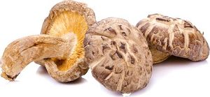 Asia Kitchen Grzyby shiitake suszone 100g - Asia Kitchen uniwersalny 2