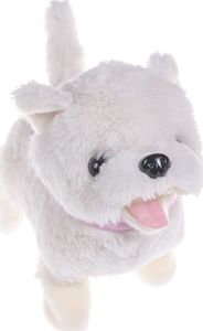 Pepco pies chodzący_ONE_Biały 2