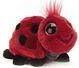 Creative Tops Frizz.Biedronka 14cm 1