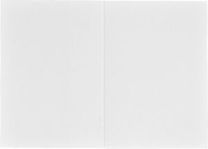 Daiber Etui paszportowe, bialy matowy, 36x50 mm, 100 sztuk (1021) 2