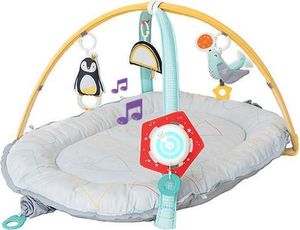 Taf Toys Mata Gniazdko Muzyczne 4w1 1