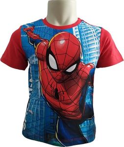 T-Shirt Spider-Man (116 / 6Y) 1