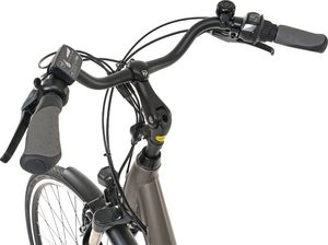 Rower elektryczny EcoBike Rower elektryczny City L szary (37972) 12