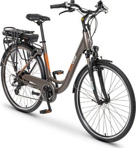 Rower elektryczny EcoBike Rower elektryczny City L szary (37972) 2