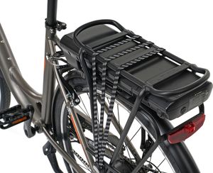 Rower elektryczny EcoBike Rower elektryczny City L szary (37972) 10