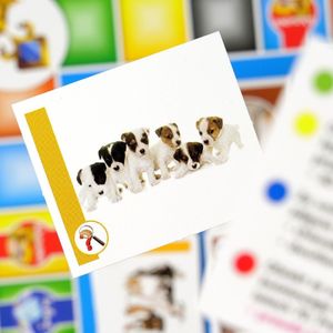 Lisciani Gra IM Genius Super quiz 1000 pytań 5