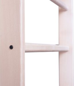 BenchK Drabinka gimnastyczna 220x67cm (830313) 2