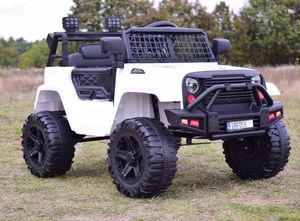 Super-Toys JNOWSZY DZIP NA AKUMULATOR, PILOT, RADIO FM/BDM0922 13