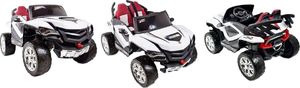 Super-Toys MEGA BUGGY D-MAX 4X4, FUNKCJA BUJANIA, AMORTYZATORY, WIELOFUNKCYJNY PILOT/FB6678 23