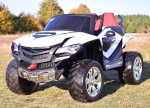 Super-Toys MEGA BUGGY D-MAX 4X4, FUNKCJA BUJANIA, AMORTYZATORY, WIELOFUNKCYJNY PILOT/FB6678 7