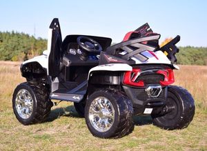 Super-Toys MEGA BUGGY D-MAX 4X4, FUNKCJA BUJANIA, AMORTYZATORY, WIELOFUNKCYJNY PILOT/FB6678 10