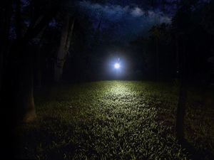 Latarka Fenix Latarka diodowa Fenix E12 V2.0 (039-462) 5