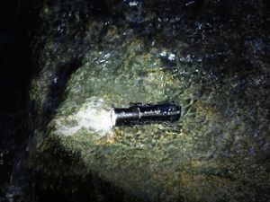 Latarka Fenix Latarka diodowa Fenix E12 V2.0 (039-462) 6