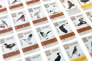 Rebel Dodatek do gry Na skrzydłach: Ptaki Oceanii 2