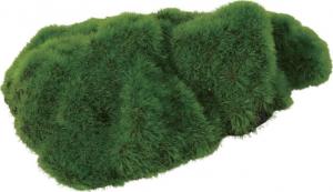 Zolux Dekoracja akwarystyczna Kipouss skała- z nasionami żywych roślin 3