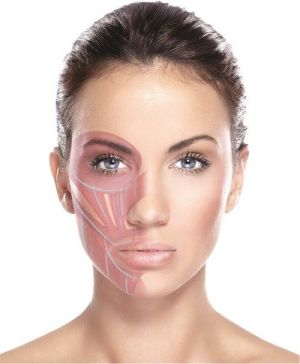 Rio Urządzenie do liftingu twarzy Pro Lift (TFAC) 5