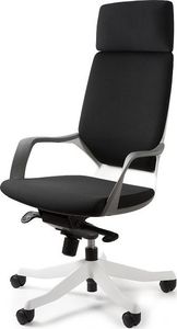 Krzesło biurowe Selsey Askarry Czarne 1