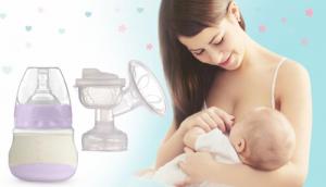 Berdsen 5905 fioletowy 7