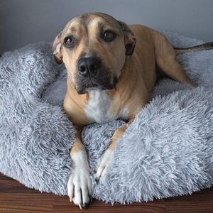 Springos Legowisko dla psa 90cm, pluszowe posłanie dla kota szary UNIWERSALNY 16