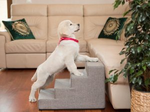 Hobbydog Małe schody  Inari Light Grey 30x50x30 cm 6