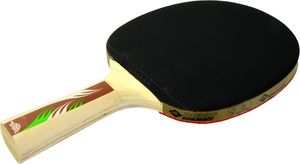 Donic Rakietka Do Ping Ponga Green Line Series 700 (R1876) 2