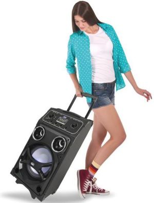 Kolumna Trevi XF 1000 KB 2