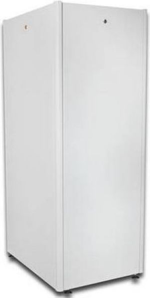 Szafa Digitus Stojąca 19" 32U (DN-19 32U-6/8-D) 2