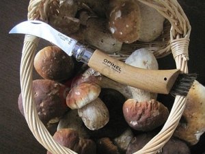 Opinel No. 08 Mushroom foldable knife w. Brush 12