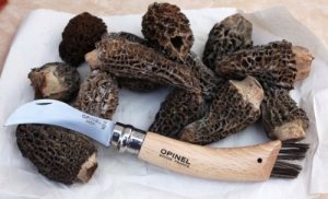 Opinel No. 08 Mushroom foldable knife w. Brush 2