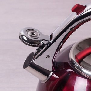 Kamille Czajnik stalowy z gwizdkiem 3 L, Kamille KM-0690N 2