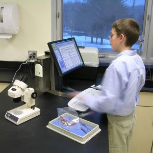 Ergotron Neo-Flex All-In-One Secure Clamp (33-338-085) 6