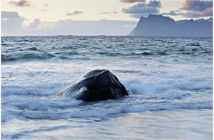 Filtr B&W International XS-Pro Digital ND Vario MRC nano 82 (1075252) 3