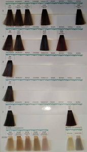 Olioseta Oro Del Marocco OLIOSETA ORO DEL MAROCCO farba do włosów amonia free 10.0 100ml uniwersalny 2