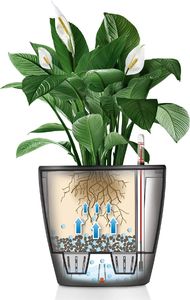 Lechuza DONICA LECHUZA CLASSICO LS 50 ESPRESSO 1
