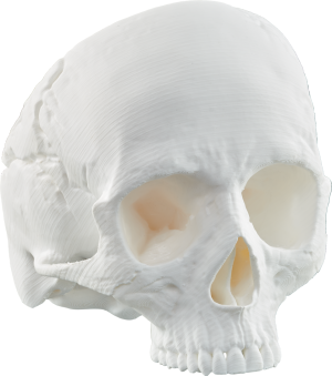 Drukarka 3D 3DKreator Kreator Motion 10