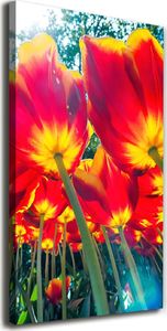 Tulup Obraz Na Płótnie 50x100 Obraz Canvas Czerwone tulipany 1